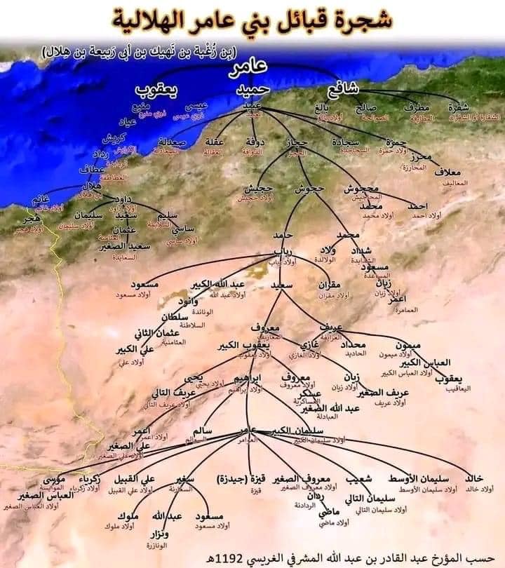 شجرة قبائل بني عامر الهلالية