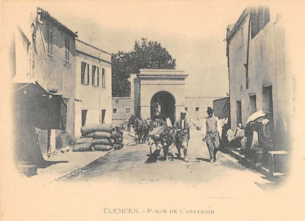 Tlemcen, la porte de l'Abattoir