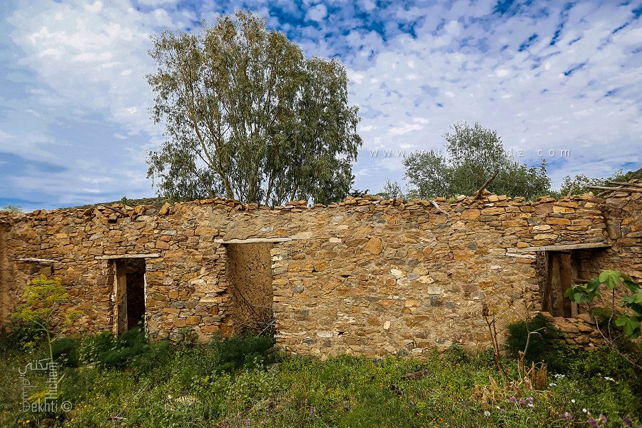 Ancienne Maison abandonnée du Village d'El Gramet