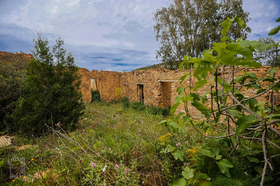 دشرة الڨرامط (بلدية هنين ، ولاية تلمسان)