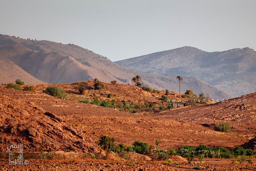 Gestion durable au Parc national de Djebel Aissa