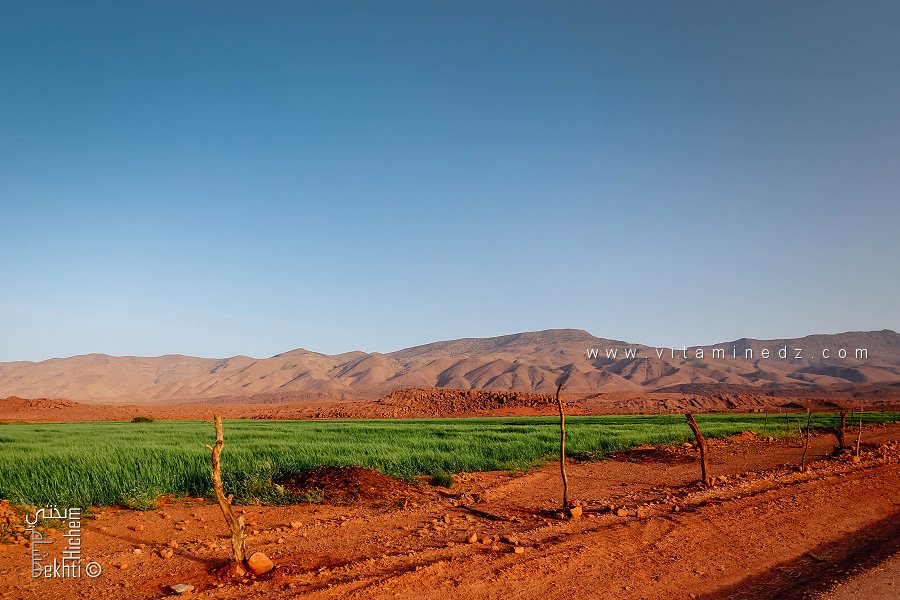 Parc national de Djebel Aissa et nouvelles extensions agricoles de Tiout