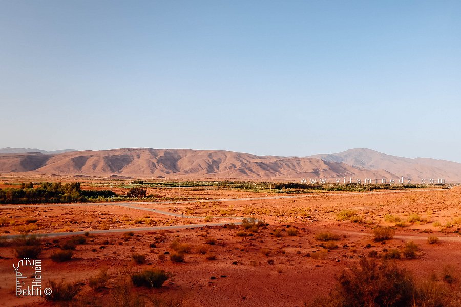 زراعة الحبوب في الأراضي الشاسعة لجبل عيسى