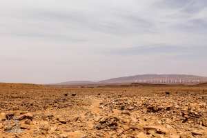 الإدارة المستدامة للمنتزه الوطني لجبل عيسى