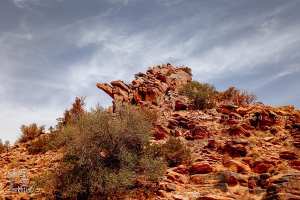 Parc national de Djebel Aissa : Rocher en forme de tortue