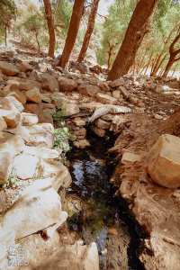 عين عيسى (منبع المياه الصالحة للشرب) المنتزه الوطني لجبل عيسى