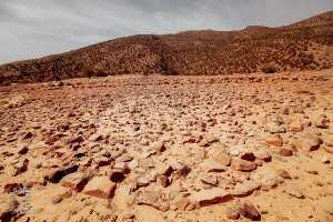 بحوث ودراسات جامعية تستهدف التسيير المستدام للحظيرة