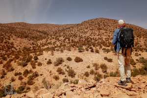 Atouts du Parc national de Djebel Aissa