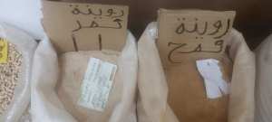 روينة تمر  روينة القمح