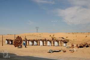 Vendeur des Roses de sable à Oued Souf