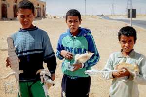 Enfants de Dhemirini vendant des fennecs
