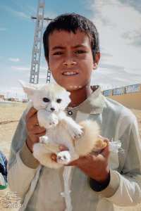 Enfant du Souf tenant un Fennec