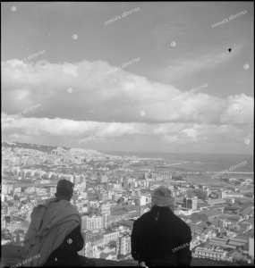 Vue d'ensemble sur Alger