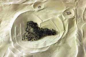 LES GHOUTS D'EL OUES SOUF ALGERIE