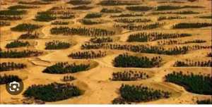 LES GHOUTS D'EL OUES SOUF ALGERIE