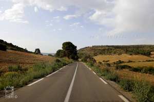 Forêt de Ain El yhoudi, commune de Aouf (Mascara)