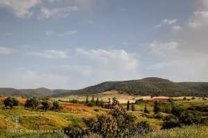 Djbel El Gaadane et Oued Tifrit (Commune Aouf - Mascara)