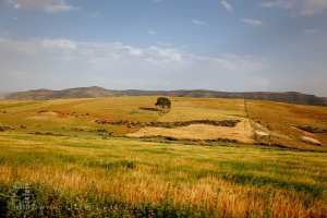 Commune de Beniane (Wilaya de Mascara)