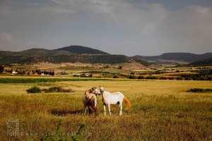 البنيان بلدية من بلديات ولاية معسكر الجزائرية