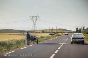 RN93 menant vers Ghriss (Wilaya de Mascara)