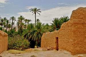 Oasis de Himsounine ou M'Chounech, la perle des Aurès (Algérie)