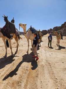 𝗧𝗮𝗱𝗿𝗮𝗿𝘁