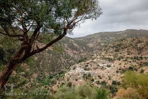 القرية التاريخية القليعة