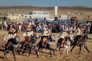 La poudre et les chevaux en parfaite harmonie - Waada de Tamesna (Commune El Hassasna, Wilaya de Saida) Mai 2015