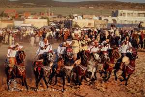 تأهب الفرسان للانطلاق - وعدة تامسنا (بلدية الحساسنة، ولاية سعيدة) ماي 2015