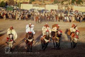 إعداد الخيول قبل الفانتازيا - وعدة تامسنا (بلدية الحساسنة، ولاية سعيدة) ماي 2015