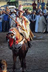 فارس ذو خبرة طويلة في وعدة تامسنة (بلدية الحساسنة، ولاية سعيدة) ماي 2015