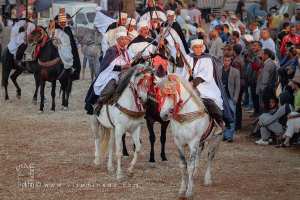 Chevaux bardés et cavaliers prêts pour le baroud à la Waada de Tamesna (Commune El Hassasna, Wilaya de Saida) Mai 2015