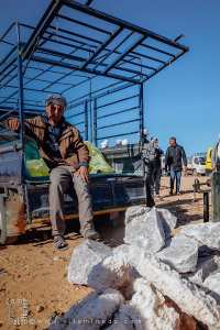 Vente de blocs de sel : essentiels pour le bétail