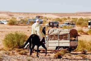 Contraste saisissant : le cheval noir et son cavalier en blanc