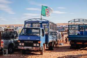 Camion au drapeau algérien : fierté nationale en mouvement