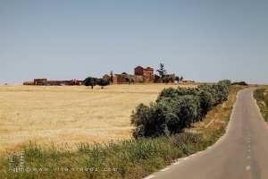 Route vers Hounet, Ferme coloniale, Oliveraies, Commune de Hounet, Wilaya de Saïda