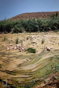Algues vertes à Oued Hounet, Commune de Hounet, Wilaya de Saïda