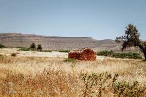 منزل مهجور من الحجر، بلدية هونة، ولاية سعيدة