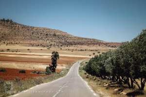 بلدية هونت، ولاية سعيدة