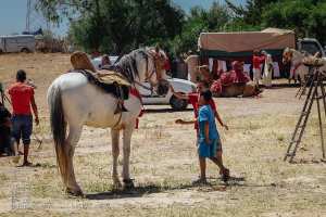 طفل مندهش أمام حصان، وعدة هونت، ولاية سعيدة، مايو 2015