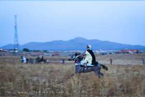 بريق الفارس وسط عاصفة الرمال، وعدة الڨور، ولاية تلمسان، أكتوبر 2016