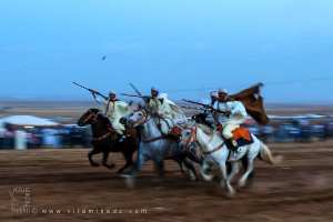 الفانتازيا، تألق وجموح الخيول، وعدة الڨور، ولاية تلمسان، أكتوبر 2016