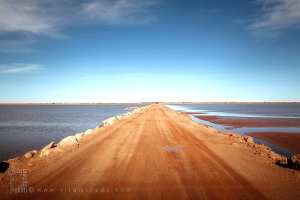 عبور شط الشركي: بين الجفاف والولادة من جديد