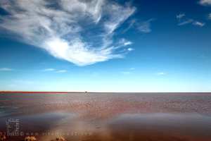 شط الشركي: صحراء تحولت بعد أمطار أكتوبر 2024