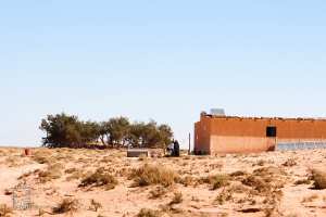 Un pasteur sédentarisé : La vie tranquille sous le soleil du désert