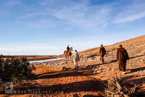 Un jeune garçon à cheval, gardien vigilant des lieux