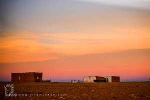 La Steppe de Rogassa (Wilaya d'El Bayadh)