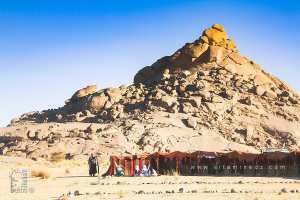 تحت ظل الخيمة الحامية - احتفالية الجمل (تيوت، تمنراست، ديسمبر 2013)