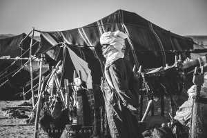 Sous le regard du désert - Fête du chameau (Tit, Tamanrasset, Décembre 2013)
