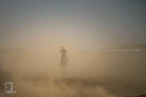 ظل البدوي في غبار الصحراء - احتفالية الجمل (تيوت، تمنراست، ديسمبر 2013)